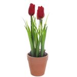 Terracotta Potted Realistic Artificial Tulip